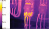 thermal imaging Tests and Measurements for Electrical Fire Prevention
